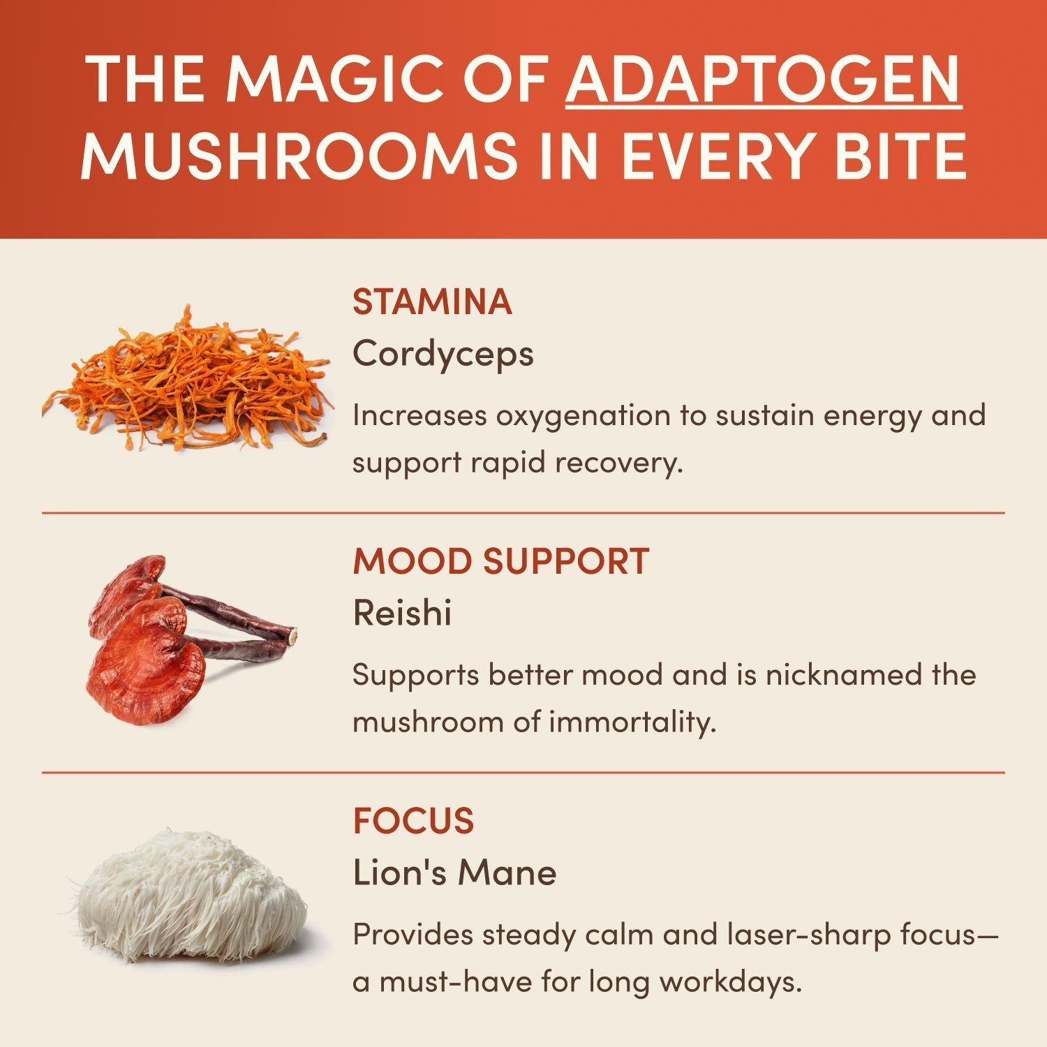 Chocolate Indulgence Bundle - Simple Edit