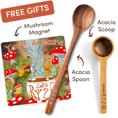Cocoa Free Gift Bundle - Easy Set