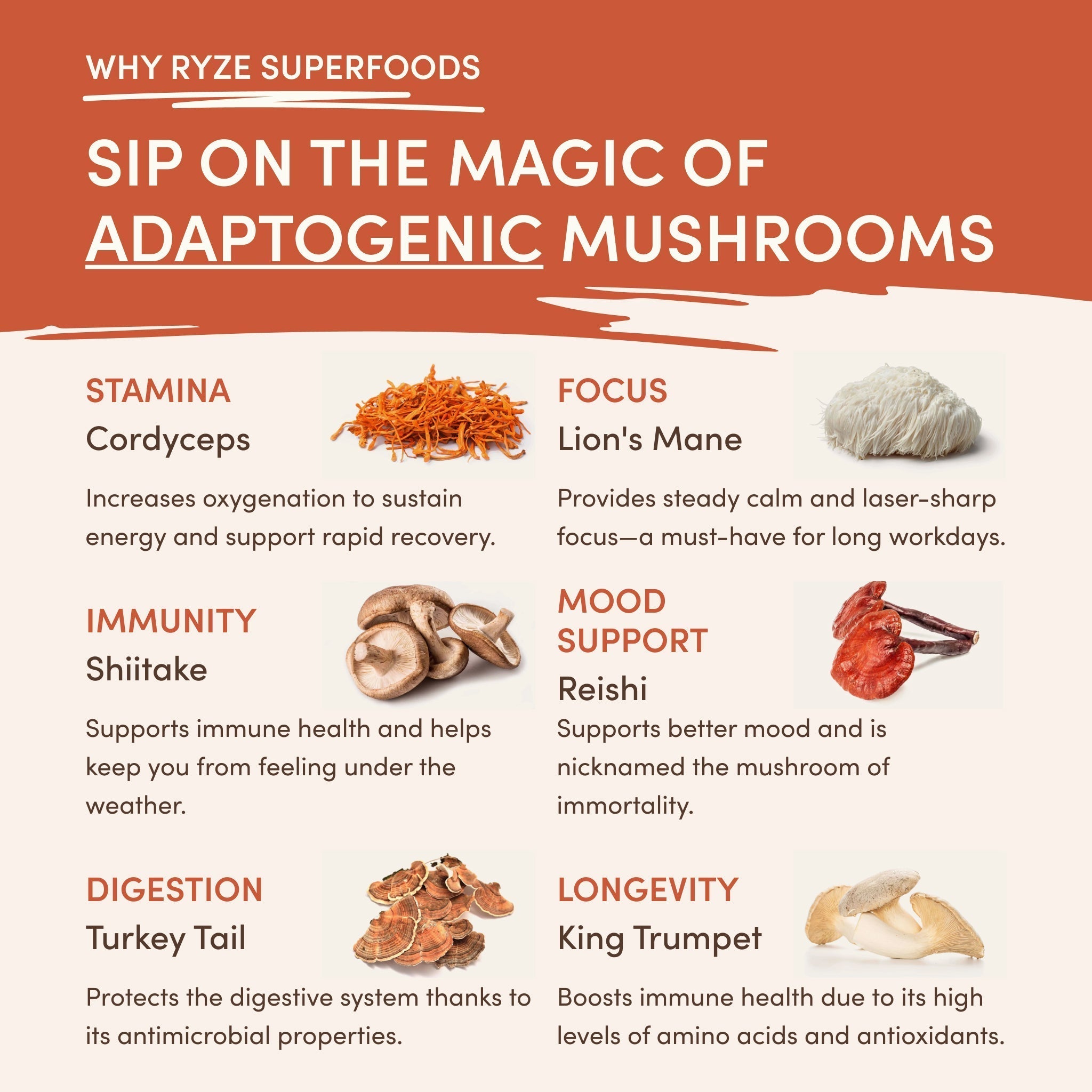 Superfood Creamer Add-on (SPECIAL PRICING) - Premium Choice