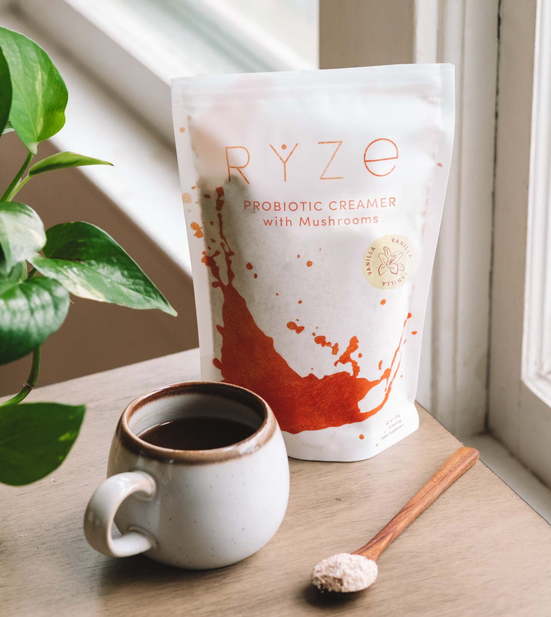 Creamer (30 Servings) - Daily Pick