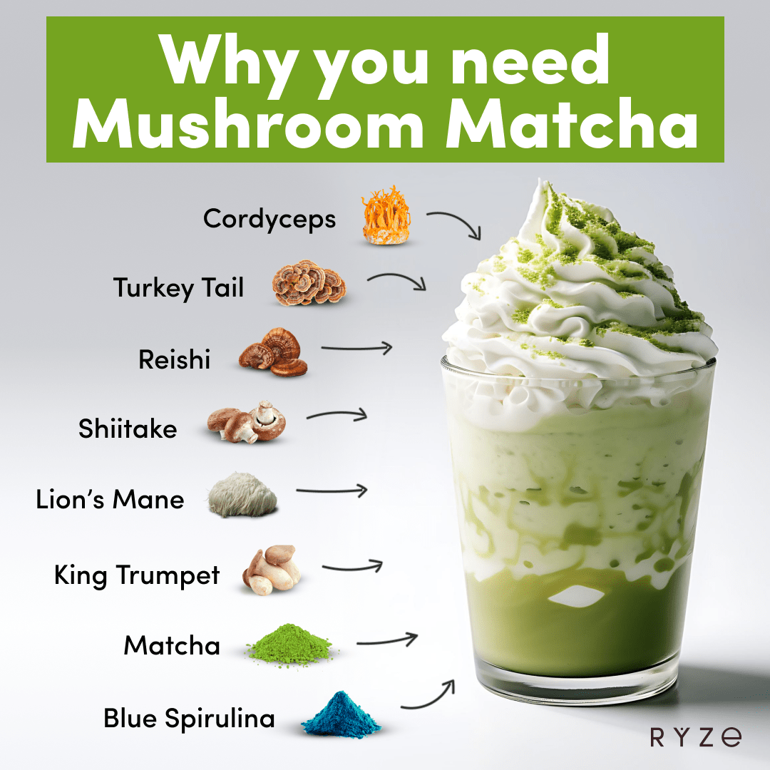 RYZE Organic Matcha Starter Kit (60 servings) - Classic Pick